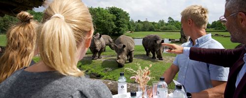 24855 Meetingvejle Givskud 10 1920X1080px